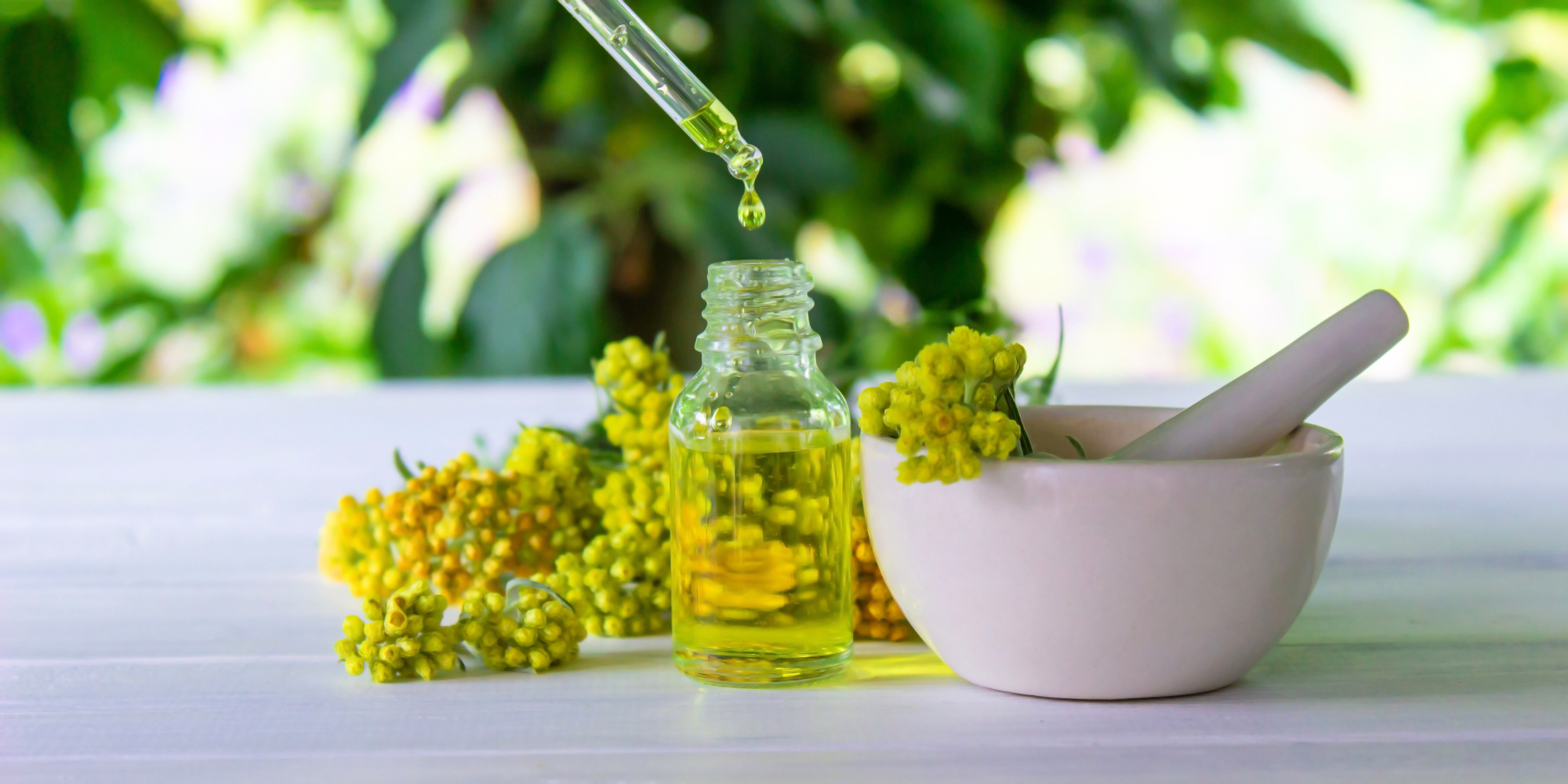 Blue tansy skincare