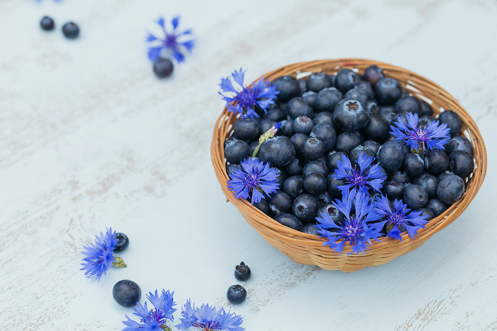 Protect Your Skin From Blue Light With Blueberry Seed Oil - Kaia Skin