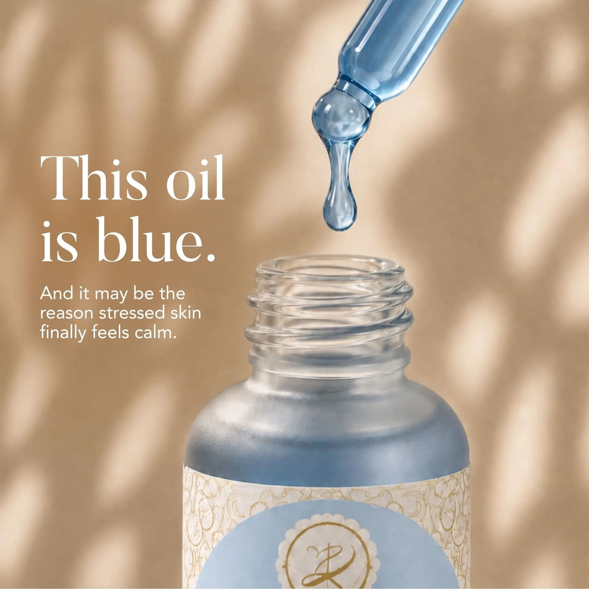 Calming Blue Face Oil | Blue Tansy + Squalane kaia.skin